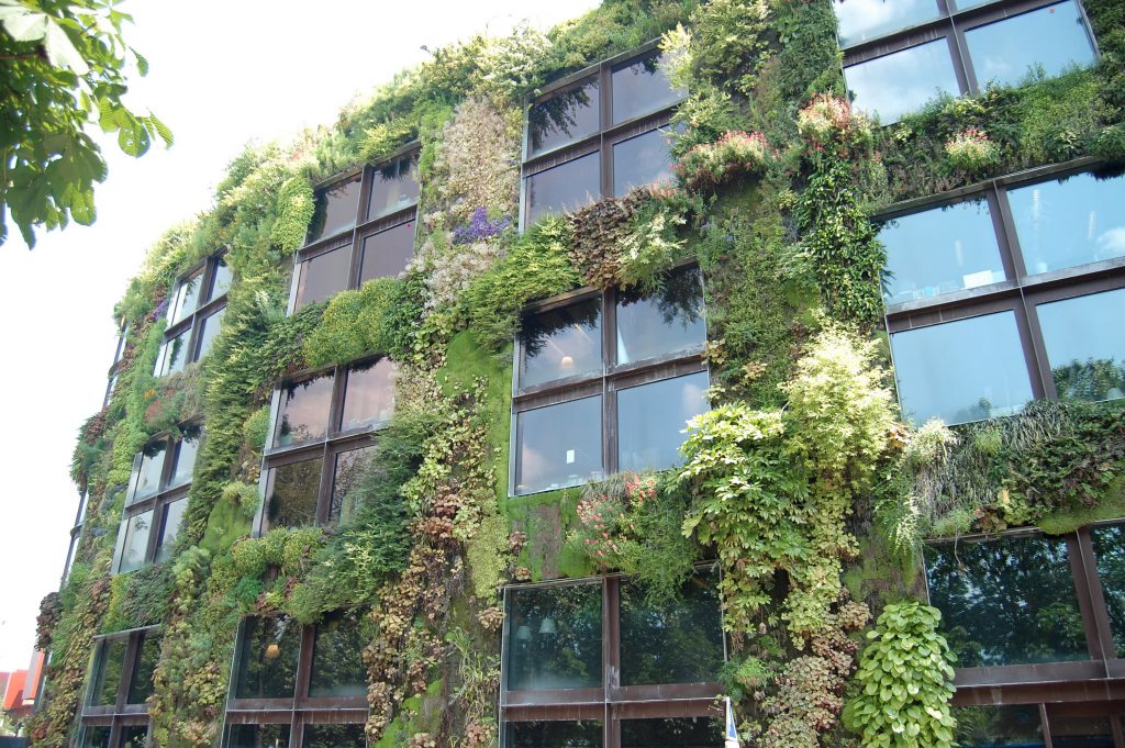 Green living walls