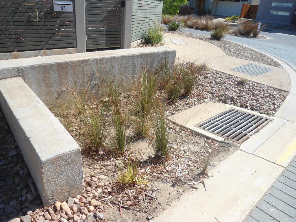 bioretention systems in front of the house